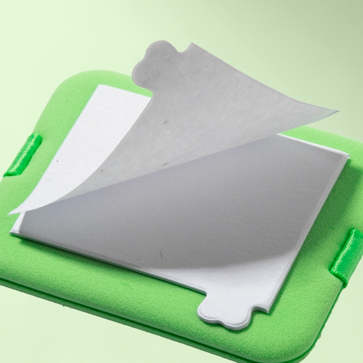 Papel Absorbente Facial Green Tea 100 piezas