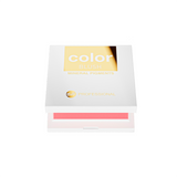 Rubor Bell Professional Color Blush 02