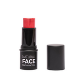 Stick Facial Multifunción